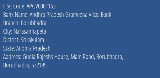 Andhra Pradesh Grameena Vikas Bank Borubhadra Branch, Branch Code 001163 & IFSC Code Apgv0001163