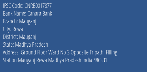 Canara Bank Mauganj Branch Mauganj IFSC Code CNRB0017877
