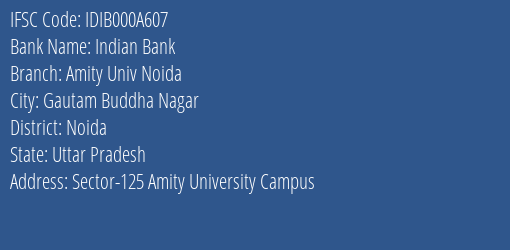 Indian Bank Amity Univ Noida Branch, Branch Code 00A607 & IFSC Code IDIB000A607