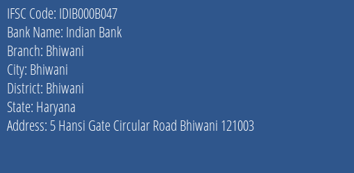 Indian Bank Bhiwani Branch, Branch Code 00B047 & IFSC Code IDIB000B047