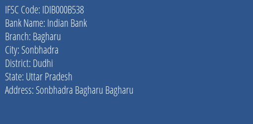 Indian Bank Bagharu Branch Dudhi IFSC Code IDIB000B538