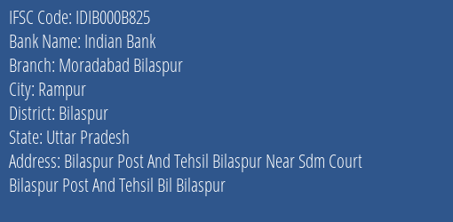 Indian Bank Moradabad Bilaspur Branch, Branch Code 00B825 & IFSC Code IDIB000B825