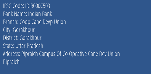 Indian Bank Coop Cane Devp Union Branch Gorakhpur IFSC Code IDIB000C503