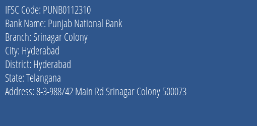 Punjab National Bank Srinagar Colony Branch, Branch Code 112310 & IFSC Code PUNB0112310