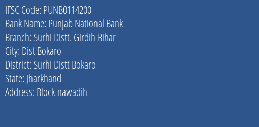 Punjab National Bank Surhi Distt. Girdih Bihar Branch IFSC Code
