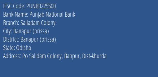 Punjab National Bank Saliadam Colony Branch Banapur Orissa IFSC Code PUNB0225500