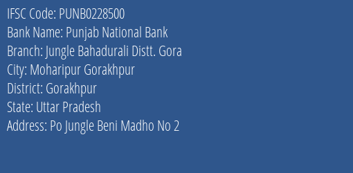 IFSC Code punb0228500 of Punjab National Bank Jungle Bahadurali Distt. Gora Branch