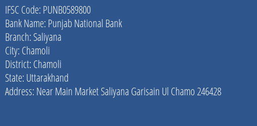 Punjab National Bank Saliyana Branch Chamoli IFSC Code PUNB0589800
