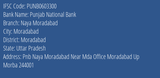 Punjab National Bank Naya Moradabad Branch Moradabad IFSC Code PUNB0603300