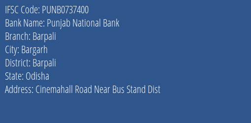 Punjab National Bank Barpali Branch Barpali IFSC Code PUNB0737400