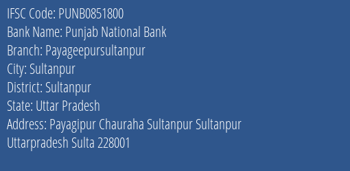 Punjab National Bank Payageepursultanpur Branch Sultanpur IFSC Code PUNB0851800