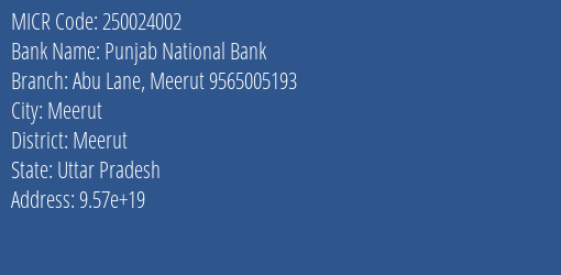 Punjab National Bank Abu Lane Meerut 9565005193 MICR Code