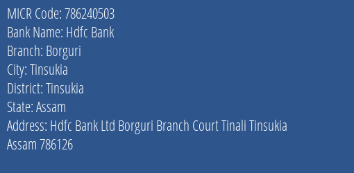 Hdfc Bank Borguri Branch Address Details and MICR Code 786240503